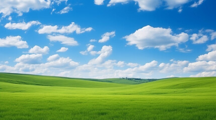 Fototapeta premium green field and blue sky