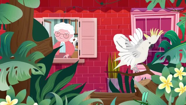 A parrot perched on a tree flew over to the old grandmother who was at the window of the house. 4k simple animated cartoon fun videos
