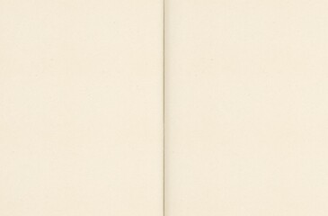  Paper canvas background mockup. textured paper background. Notepad sheet.