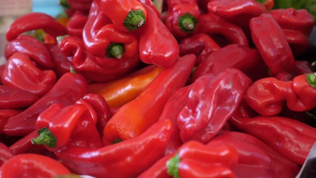 Frigitelli Flames - Italian Market's Green Fire