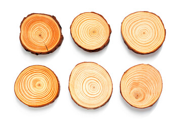 Set of Small Circular Pieces of Wood with Annual Rings