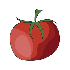 Ripe Tomato isolated on white background. Tomato  in trendy flat style. Vector illustration can used menu design. EPS 10 Editable stroke