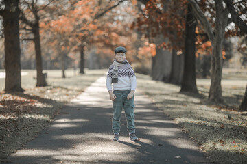 Fototapeta premium Fall. child walking away into the golden trees alley. Foliage with background of autumn trees landscape. maple leaves.