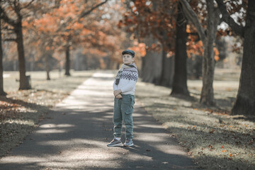Fototapeta premium Fall. child walking away into the golden trees alley. Foliage with background of autumn trees landscape. maple leaves.