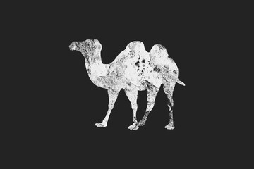 flat white grunge logo effect of camel animal on dark background.