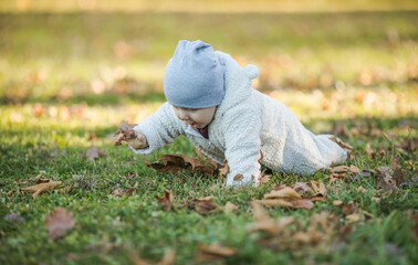 Adorable baby crawling in fallen leaves in morning sunlight.
