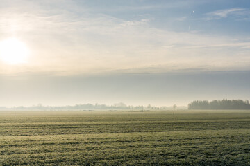 Beautiful agricultural grass lands on a cold and frosty winter morning, with the grass covered in frozen dew. 