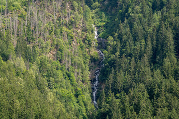 Obraz premium Waterfall in the woods of the Mont Blanc massif in summer, Chamonix, Haute Savoie, Auvergne Rhone Alpes, France