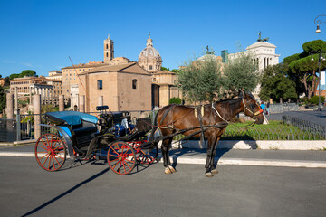 Horse carriage for tourists on the background of Roman Forum ruins, Rome, Italy