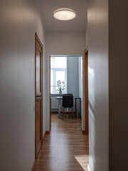 Hall in the modern flat.