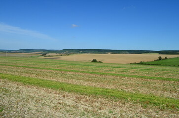 Fototapeta premium Paysage de la Haute-Marne (Région Grand-Est, France)