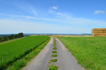 Paysage de la Haute-Marne (Région Grand-Est, France)