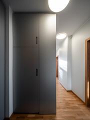 Hall in the modern flat.