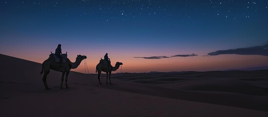 Night landscape desert with to camels