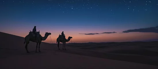 Foto op Plexiglas Night landscape desert with to camels © Hanasta