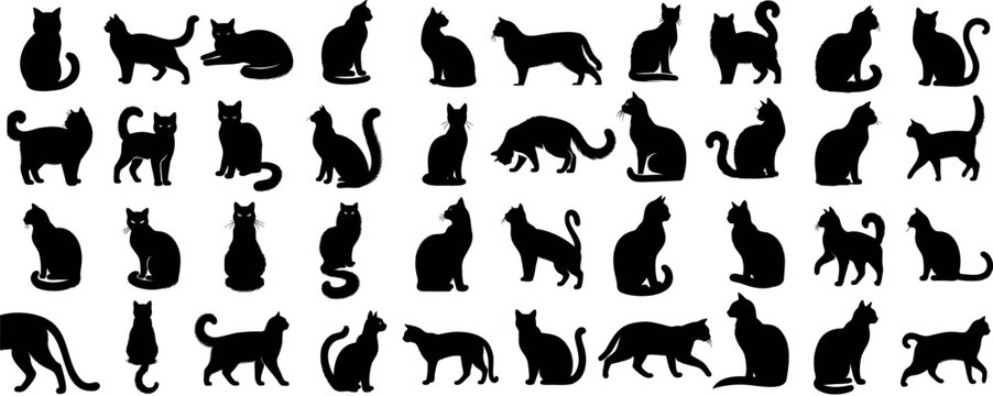 Silhouettes de chat, diverses poses, parfaites pour la conception de logos, mascotte de marque, contenu li&eacute; aux animaux de compagnie. Illustration vectorielle polyvalente, style moderne et &eacute;l&eacute;gant