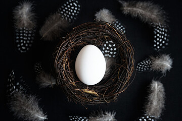 Egg in a nest next to feathers on a dark background