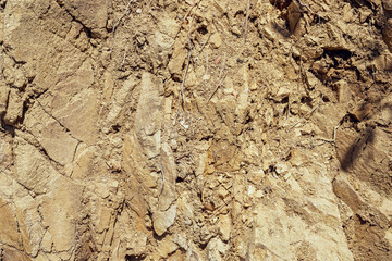 Close up of Layered Rock in Cliff with Tree Roots