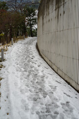 2月に雪が積もった東京港区赤坂5丁目風景