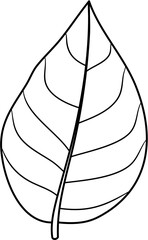 leaf lineart