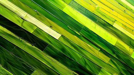 Zelfklevend Fotobehang stripes of different green building an abstract landscape. Generative AI © Sascha