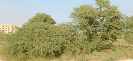 Road, clound and sky at moutain background | Plant park spring nature beautiful | Highway Road Side New Background | Tree Lined Road Pictures Photo | Tree Lined Road Pictures Photo Wide Green Grass ad