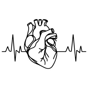 recommend clip art: Heart beat with Wave graph pulse. Medicine concept. Continuous single black Lines drawing of doodle hand drawn Heart cardiogram icon Symbol in linear style Vector