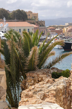 Palm trees in the port of Chani on the island of Crete, Greece