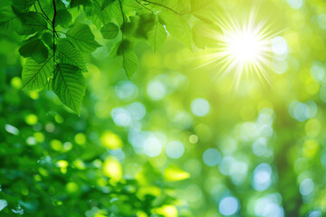 Fototapeta na wymiar Sunlight shining through leaves of tree, suitable for nature and outdoor concepts