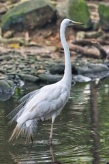 Port Douglas, Queensland, Australia