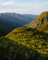 Levada do Risco, Rabacal, Madeira, Portugal. View of levada and narrow path through a green tunnel formed by laurel trees. 25 Fontes.