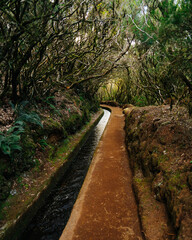Narrow trail along levada do Alecrim (irrigation canal) in the island of Madeira, Portugal