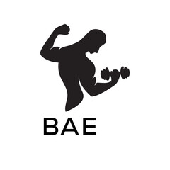 BAE Letter logo design template vector. BAE Business abstract connection vector logo. BAE icon circle logotype.
