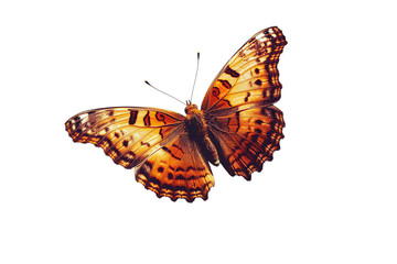 Fototapeta premium Butterfly transparent background, PNG, Flying butterfly