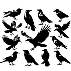 silhouettes set of crow, happy halloween party.