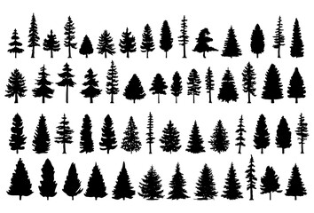 Pine tree silhouette collection on white background.Spruce tree silhouette set on white background