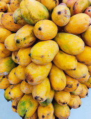Ripe mango fruit organic raw yellow juicy sweet mangoes heap closeup mangos mangas image photo
