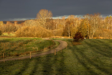 Beautiful arial view of the autumn landscape with a dramatic rain cloud and yellow trees
