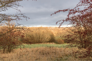 Beautiful arial view of the autumn landscape with a dramatic rain cloud and yellow trees