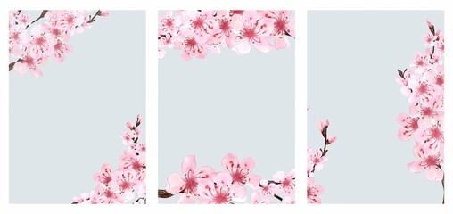 Set of flowers Template. Sakura flowers and branches. Background in watercolor style. Cherry blossom branches. Hanami festival. Hand drawn illustration