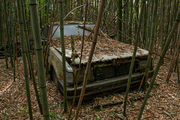 竹林に放置された廃自動車