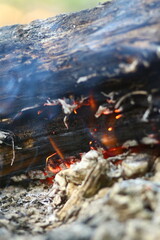 fishing on the river