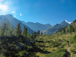 Alpine meadow with scenic view of majestic mountain peak of Hochschober, Schober Group, High Tauern...