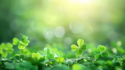 Schilderijen op glas St Patrick's Day in a vibrant spring landscape with lush greenery, clover leaves, and the beauty of nature, symbolizing luck and growth on a sunny day. For the Day of the Festival of Patrick. © Littleforest Stocker
