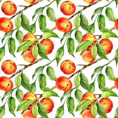 watercolor seamless pattern with illustration of summer fruit, peach or apricot, nectarine on a branches with green leaves, sketch of sweet food on white background