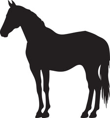 Obraz premium horse animal silhouette vector illustration