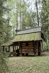 Old log house in the forest.