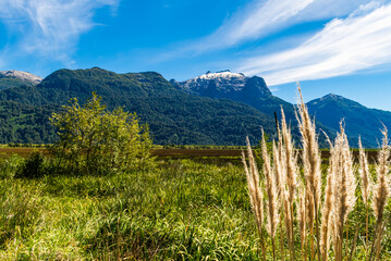 Trekking through Peulla, Chile, Andean Crossing