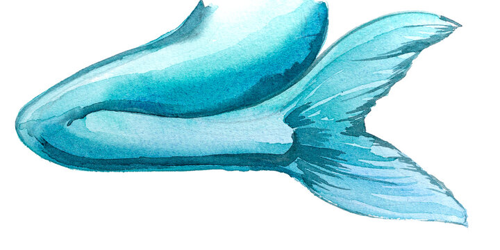 Mermaid's tail painting.Watercolor fantastic under the sea creature artwork. Hand painted mermaid clipart isolated.