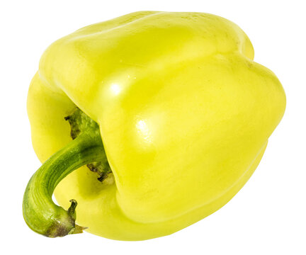 fresh green bell pepper, ripe raw green bell paprika, graphic element isolated on a transparent background